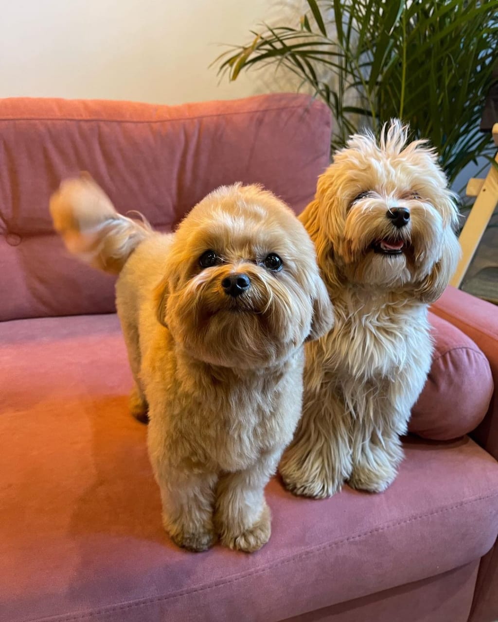 About whatsapp image 2025 09 11 at 7.29.37 pm copy